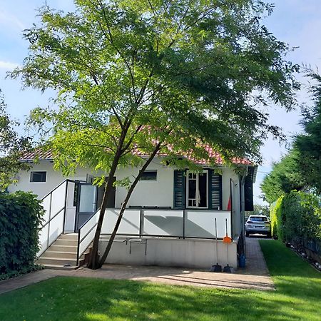 Traumlage direkt am See Balatonszárszó Exterior foto
